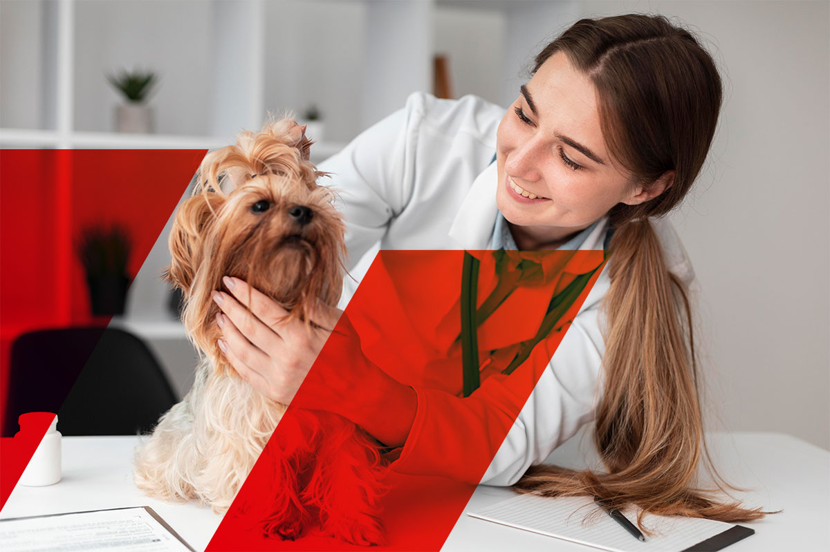 sluzby-veteo-laborator-czech