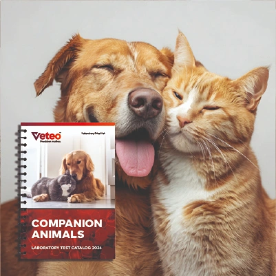 companion_animals_2026